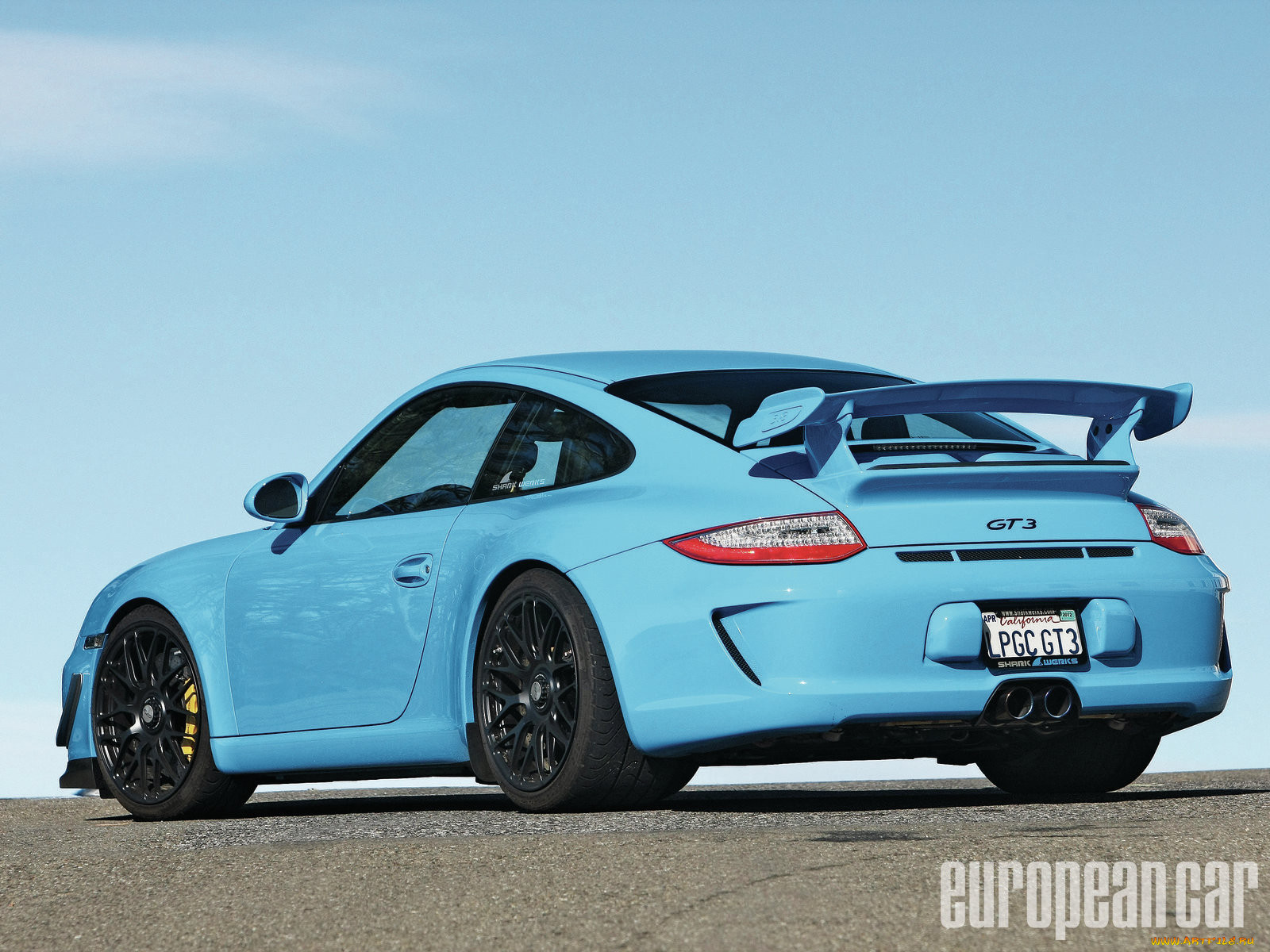 shark, werks, gt3, , porsche